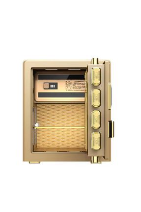 گاوصندوق فولادی NAS ÇELİK KASA - کد 839839745