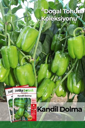 بذرها Sebze Tohumları Patika Botanik - کد 120582386