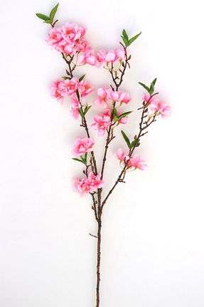 گل خشک و مصنوعی صورتی Yapay Çiçek Deposu - کد 123461129