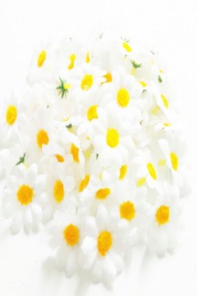گل مصنوعی سفید کد 317131861