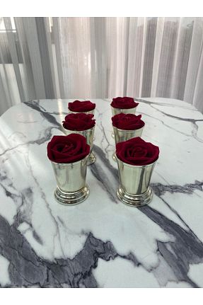 گلدان فلزی Aslı Hediyelik - کد 841928160