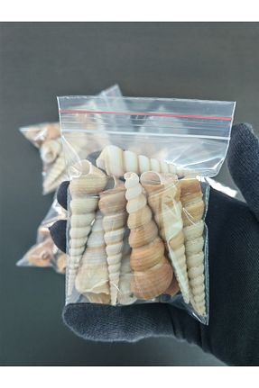 دکوراسیون و اکسسوری اکواریوم Seashell Rio - کد 803007929