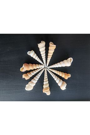 دکوراسیون و اکسسوری اکواریوم Seashell Rio - کد 803007929