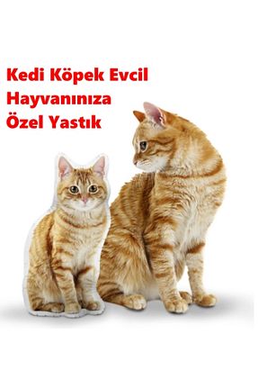  سفید Yastık Deposu - کد 842608010