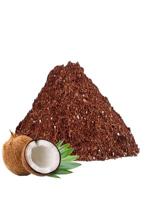 ذغال سنگ نارس و خاک Orkide Yetiştirme - کد 123018254