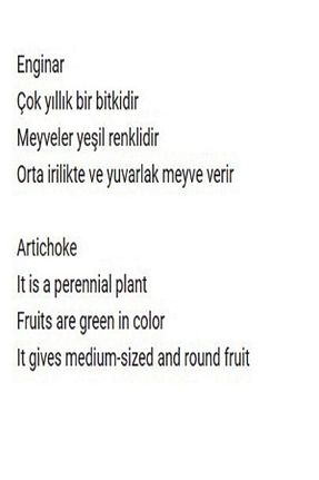 بذرها Sebze Tohumları AGRODAL TARIM - کد 98095571