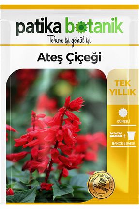 بذرها Çiçek Tohumu Patika Botanik - کد 120345443