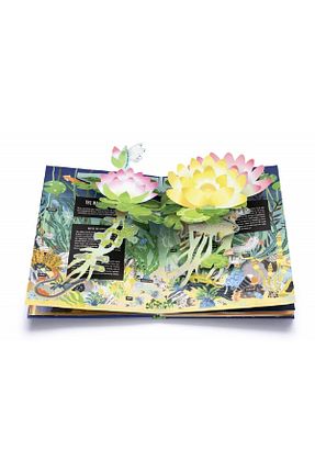 کتاب های زبان خارجی کودکان Genel Markalar - کد 136122151