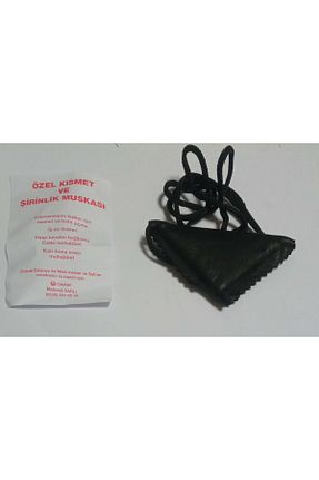 کتاب مذهبی Zeyber Yayıncılık - کد 844574089