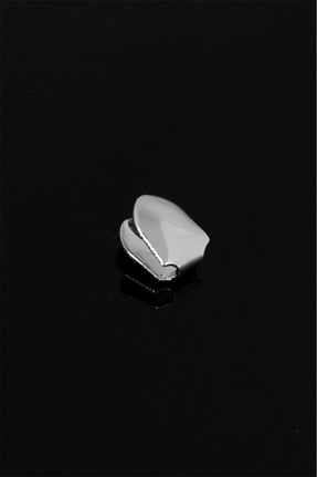 اکسسوری بدن رنگی مردانه روکش طلا No Future - کد 279648157