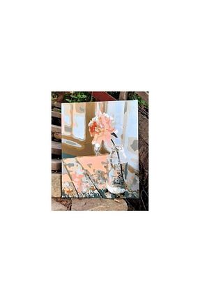 بوم wombhobby - کد 299540614