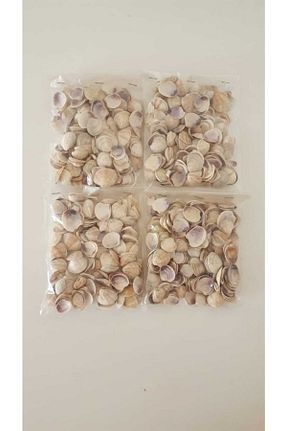 دکوراسیون و اکسسوری اکواریوم 2A Sanat - کد 297430170