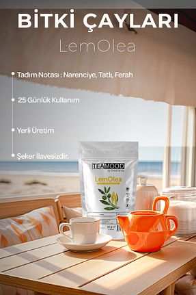 سایر چای های گیاهی TEAMOOD - کد 676277195