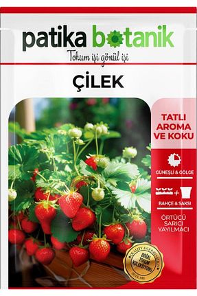 بذرها Meyve Tohumu Patika Botanik - کد 346034914