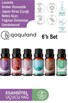 qoquland - کد 847317891