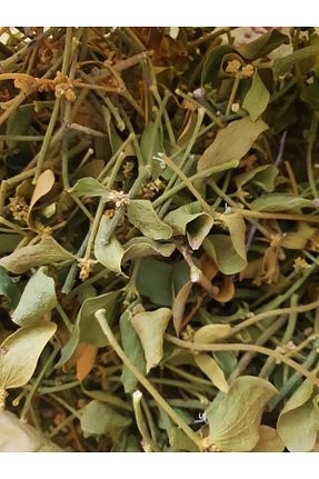 بذر و گیاه DOĞA NİMETİ - کد 846992914