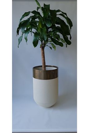گلدان Dama By Kumova - کد 39953720
