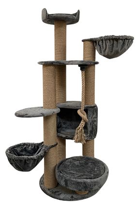  طوسی Pet Dreams - کد 847339750