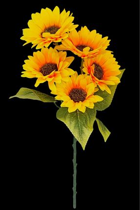 گل خشک و مصنوعی زرد MD Aspiz Flowers - کد 811729968