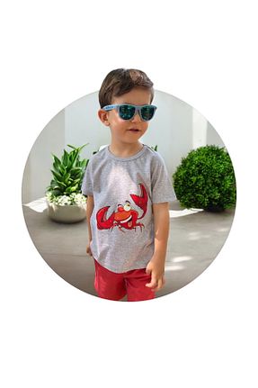 تیشرت طوسی بچه گانه رگولار patriko tekstil - کد 844213919