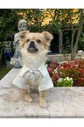  سفید SHYCO PETS - کد 847702375