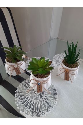 گل خشک و مصنوعی سبز Çıtak - کد 830669325