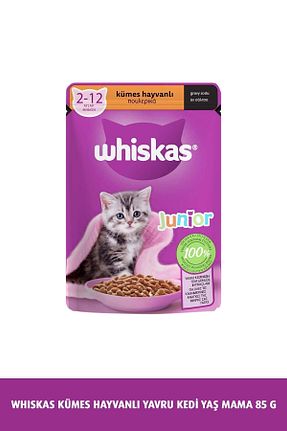 0 - 100 gr Whiskas - کد 816766559
