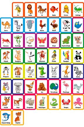 عروسک و اسباب بازی فعالیتی anu kids let