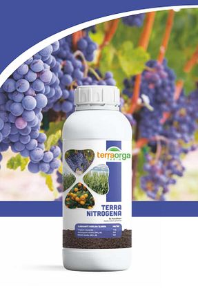 کود TerraOrga - کد 328801484