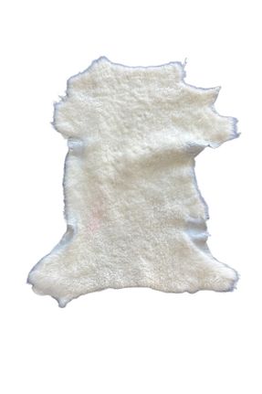 پادری بیرون سفید Koko Lndr - کد 848806752
