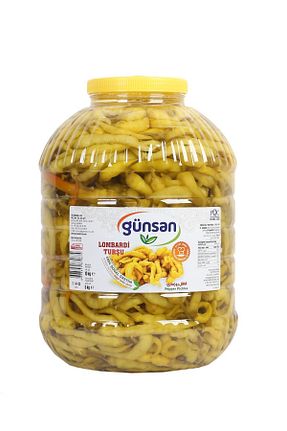 ترشی Günsan - کد 813044727