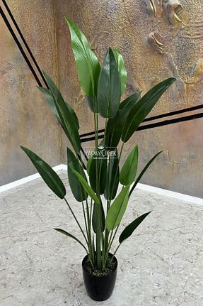 گل خشک و مصنوعی سبز Yapay Çiçek Deposu - کد 840153789