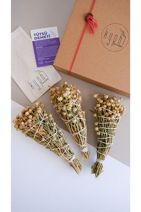 بخور و عود سبز 1 Kyphi Natural - کد 334200129
