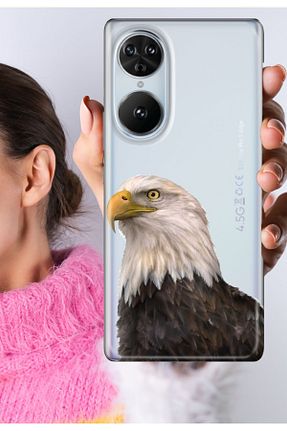 کاور و قاب رنگی Reeder - کد 848802157