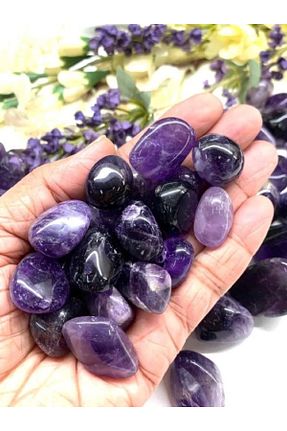 اجسام تزئینی و بیبلو بنفش CessNova - کد 843807164