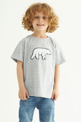 تیشرت طوسی بچه گانه رگولار zepkids - کد 660443629