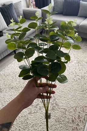 گل خشک و مصنوعی سبز adresiburasi - کد 789769258
