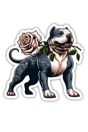 آرما استیکر و نوار فسفر مشکی MegaSticker - کد 850997347