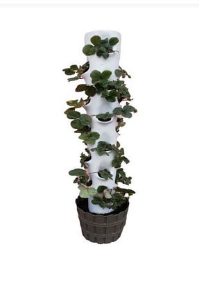 گلدان رنگی PLANTFULL VERTICAL GARDENS - کد 309399201