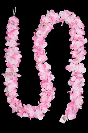 گل خشک و مصنوعی صورتی MD Aspiz Flowers - کد 803757362