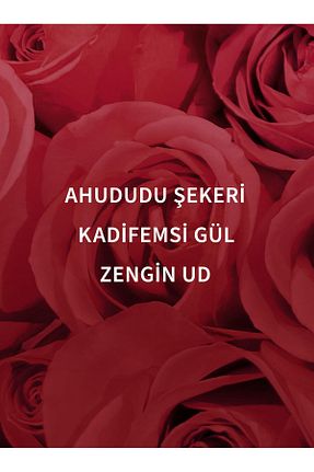 ژل دوش Bath & Body Works - کد 683001341