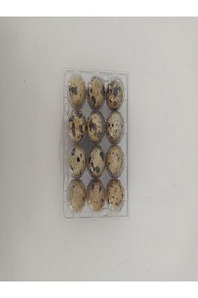 تخم مرغ KARAHİSAR KULUÇKA - کد 343274526