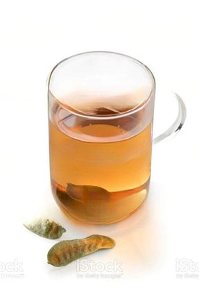 بذر و گیاه Günbak - کد 314510833