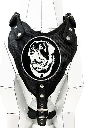 Günlük Ayakkabı مشکی Tasma Market - کد 848919547