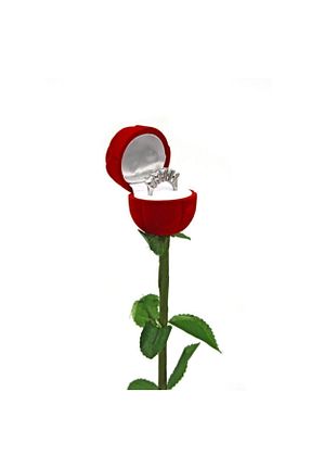 جعبه نگداری قرمز مخمل Genel Markalar - کد 45335091