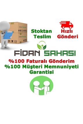 نهال میوه پیوندی Genel Markalar - کد 43499298