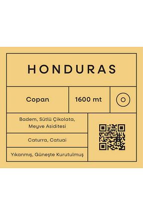 قهوه فیلتر و دانه Morn Coffee & Tea Co - کد 852725133
