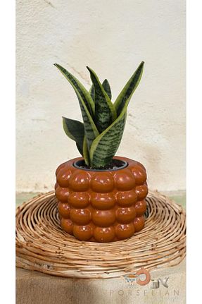 گلدان نارنجی Beton Porselian - کد 852867191