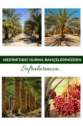 محصولات لذیذ و ارگانیک payitaht hurma - کد 35410282