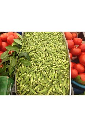 سبزی FREE - کد 48621115